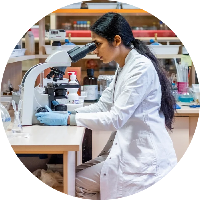 Working in Lab
